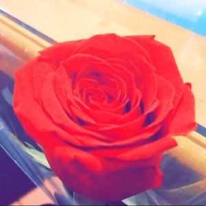 Meet your Posher, Itzel